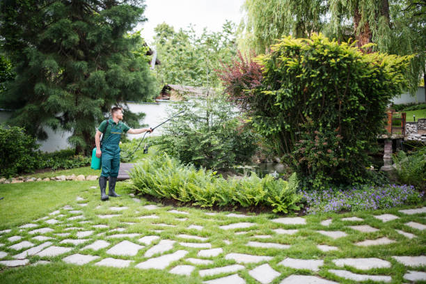 Best Lawn Irrigation Installation and Maintenance  in Macdonnell Heights, NY