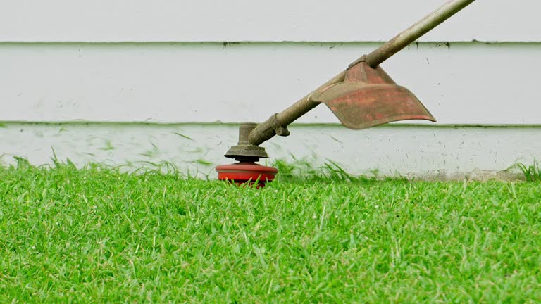 Best Commercial Tree Services  in Macdonnell Heights, NY